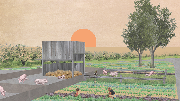 'Schweinevilla' by Katharina Münch (TU Darmstadt), part of Architecture for Pigs. Barn. Slaughterhouse. Shop., Aedes Architekturforum Berlin