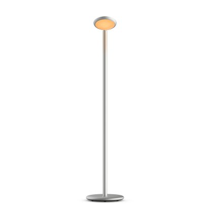Parrot Portable Lamp, Silver