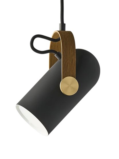 Carronade II Spot Pendant Lamp, Brass